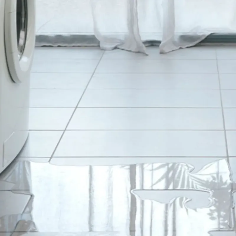 Appliance Leak Cleanup in Riviera Beach, FL